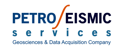 Logo de Petrosismic